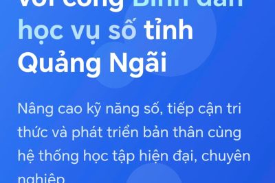 Bình dân học vụ số